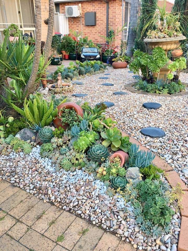 a garden filled with lots of succulents and plants next to a house