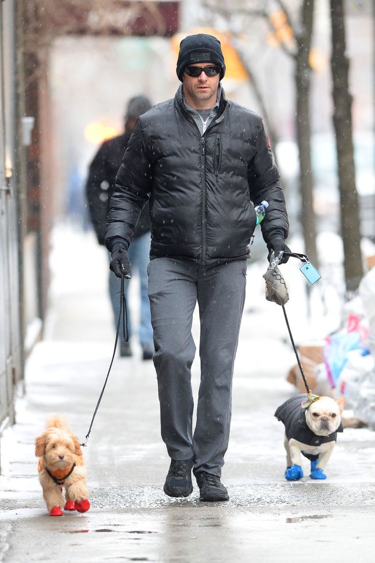 a man walking two dogs down the street