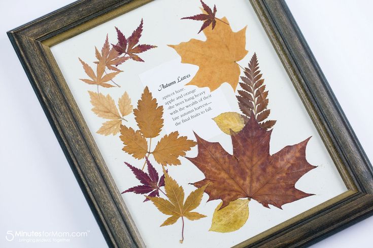 an image of autumn leaves displayed in a frame