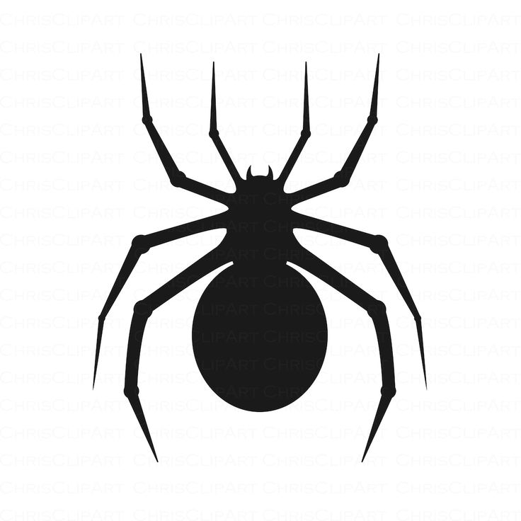 a black and white silhouette of a spider