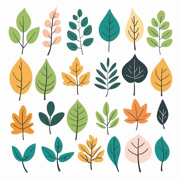 an assortment of different colored leaves on a white background