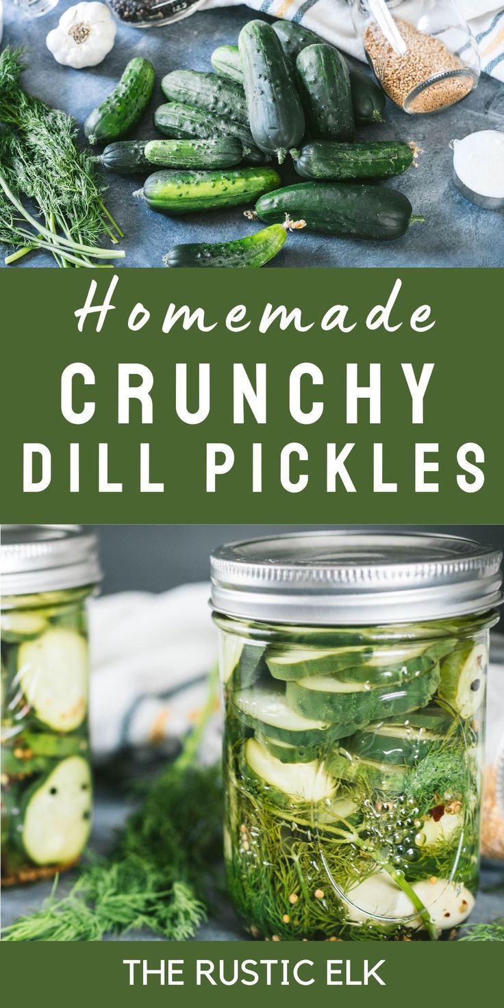 Delicious, crispy, and perfect this dill pickle recipe is the perfect blend of dill and seasonings to give you the best flavor, ever. Instructions to make easy quick pickles or go the extra step to make shelf stable dills with a canning steps you'll never buy storebought again! Dill Pickling Recipes, How To Use Alum In Pickles, How To Can Crispy Dill Pickles, Dill Pickles With Alum, Pickle Canning Recipes Dill, Best Crunchy Dill Pickle Recipe, Crunchy Canned Pickles, Crisp Pickles Canning, Canning Dill Pickles Recipe Crunchy