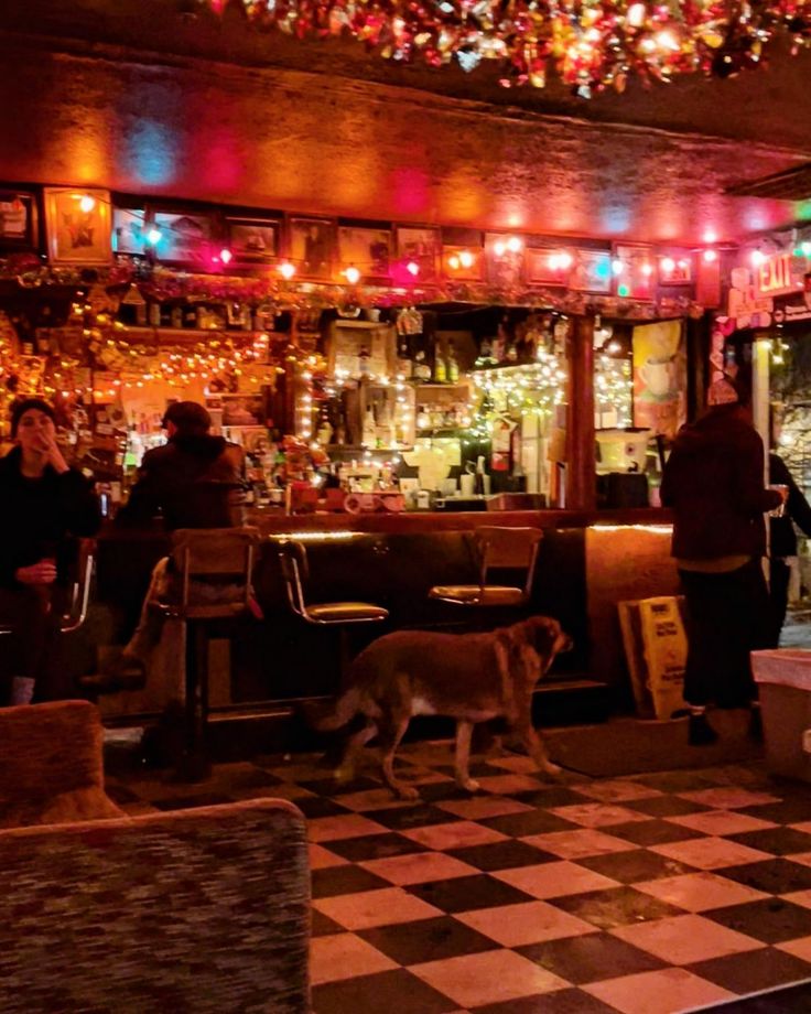 a dog standing in front of a bar with people sitting at tables and lights hanging from the ceiling