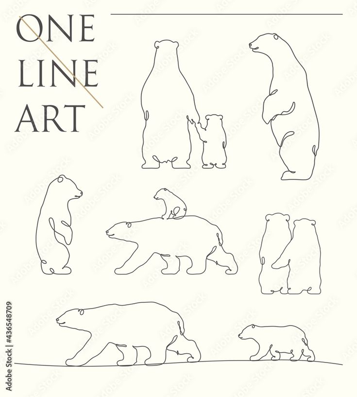 the one line art book with bears and polar bears in silhouettes on white paper