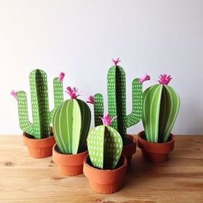 small cactus plants are lined up on a table