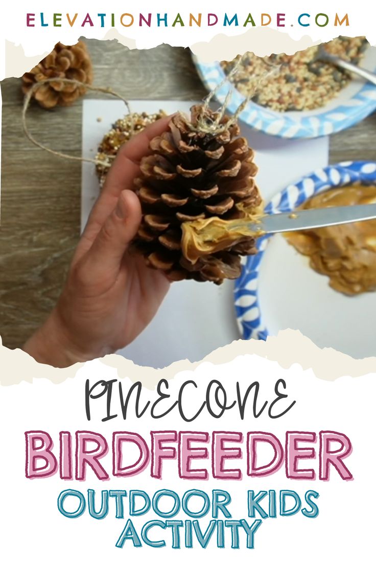 Pinecone Bird Feeders Pine Cone Bird Feeders For Kids To Make, Easy Kids Sewing Projects, Bird Feeders For Kids To Make, Pine Cone Bird Feeder, Pinecone Crafts Kids, Best Bird Feeders, Spring Arts And Crafts, Summer Arts And Crafts, Kids Activities At Home