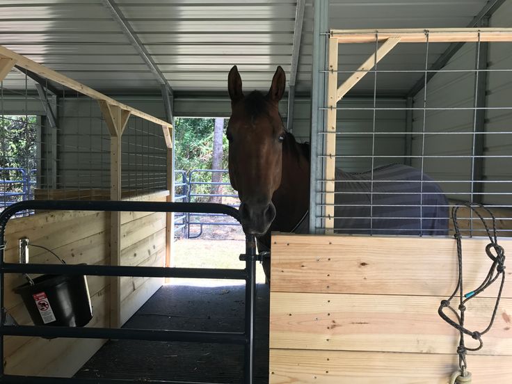 there is a horse that is standing in the stall