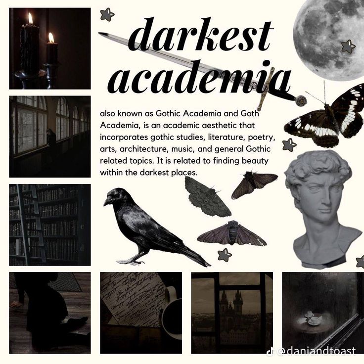 an advertisement for the darkest academy with images of different types of birds and moths