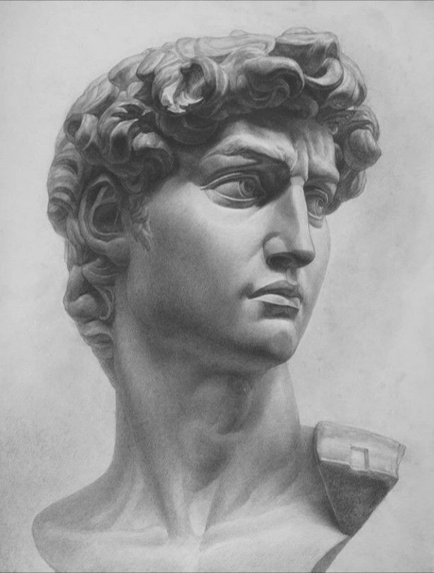 a drawing of a bust of a man with curly hair