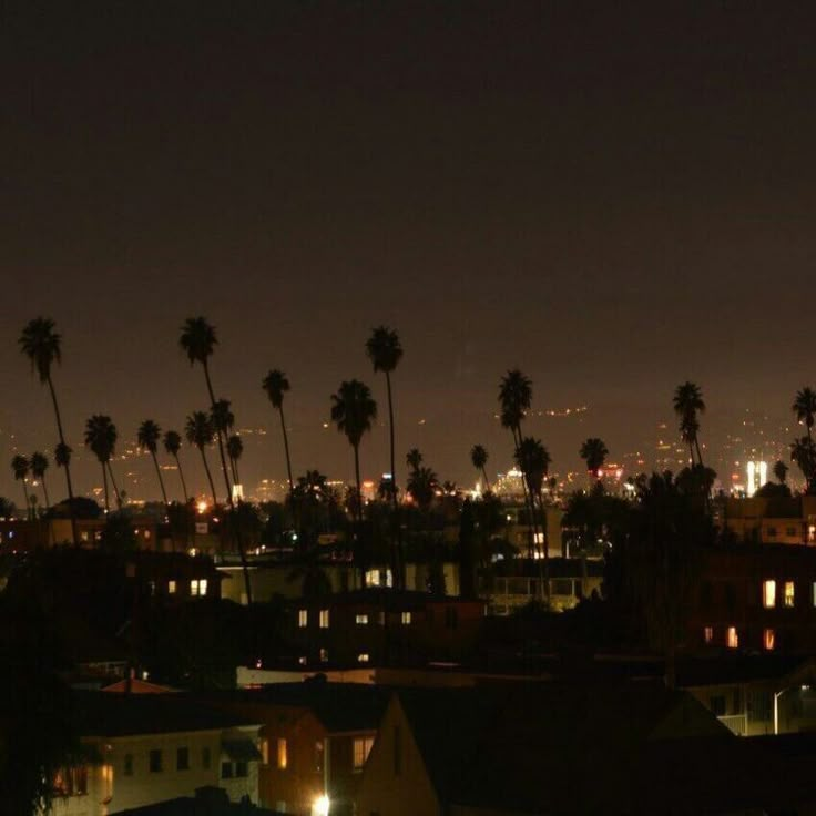 the city lights shine brightly on palm trees in the night sky over houses and buildings