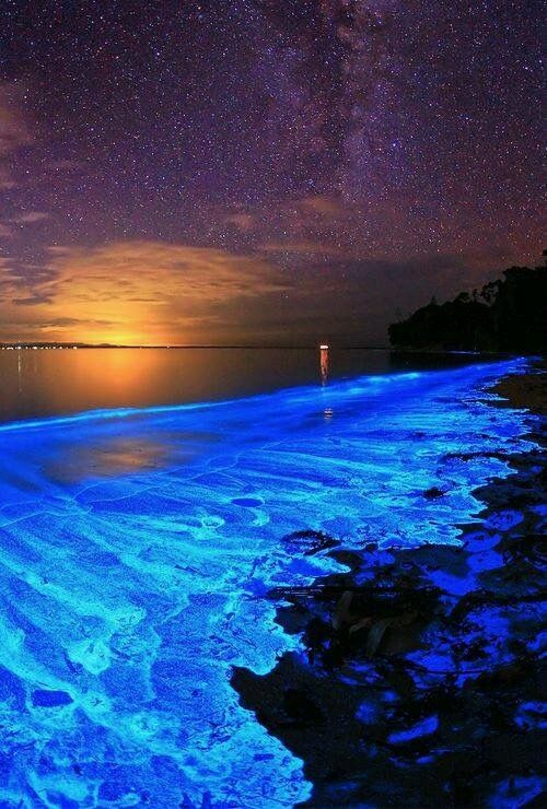 the water is glowing blue and it looks like something from another planet in the sky