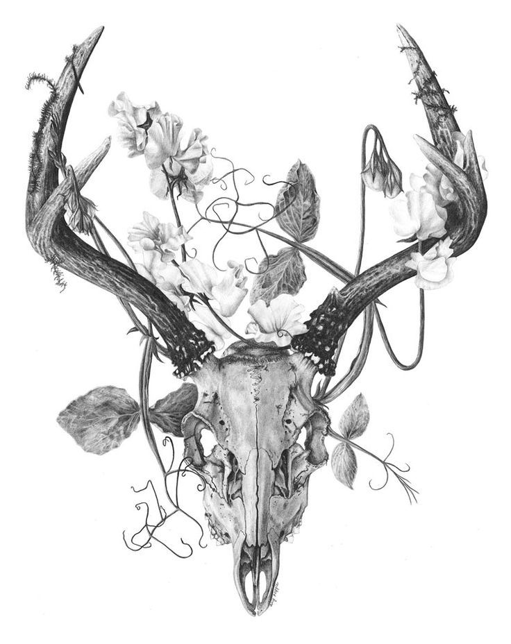 a drawing of a deer skull with flowers on it's antlers and horns