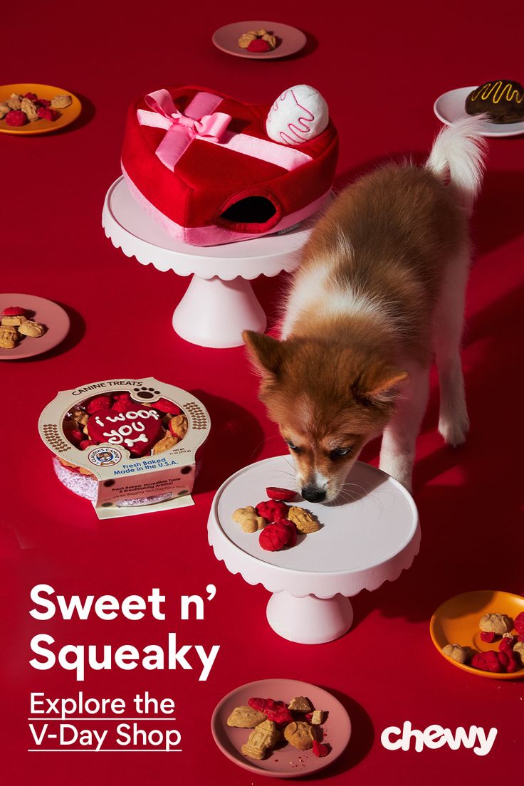 a small dog standing on top of a table next to plates and bowls filled with food