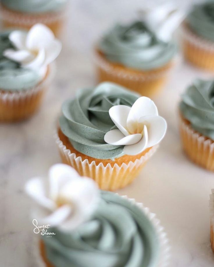 cupcakes with green frosting and white flowers on the top are arranged in rows