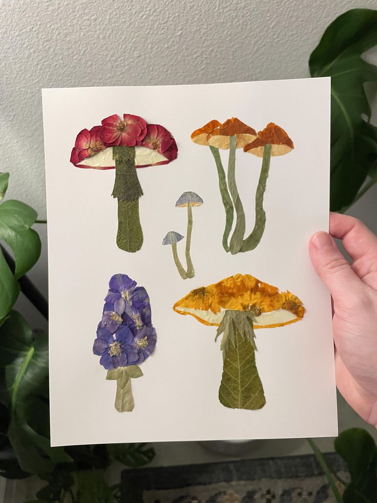 a person holding up a card with different types of mushrooms