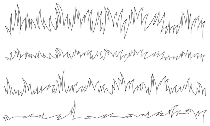 the different types of grass drawn by hand