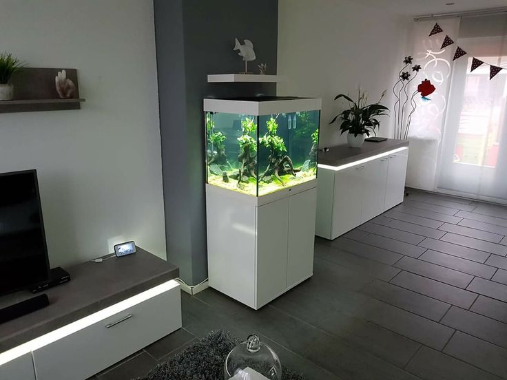 a living room filled with furniture and a fish tank