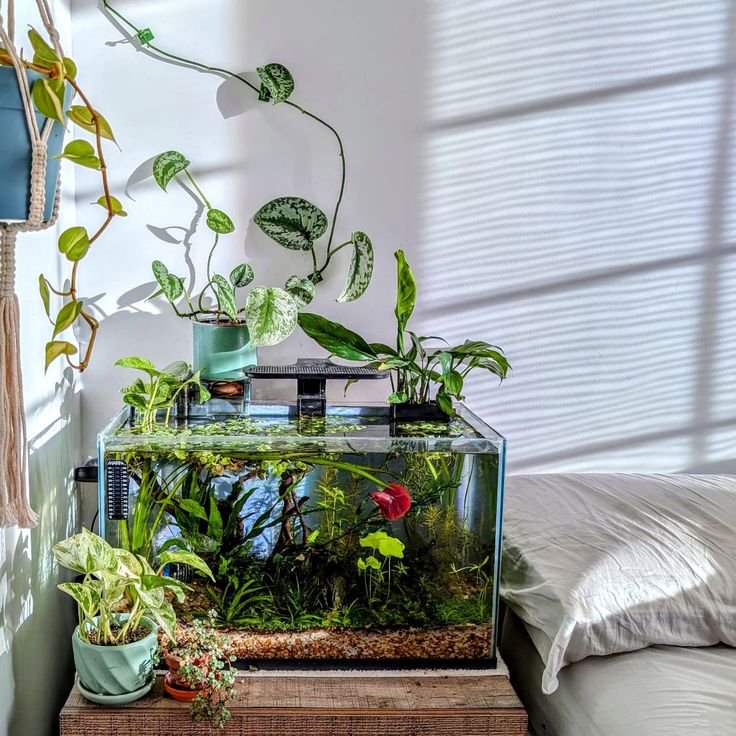 an aquarium with plants in it sitting on top of a wooden table next to a bed