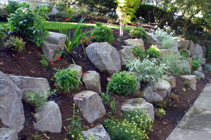 a garden with rocks and plants in it