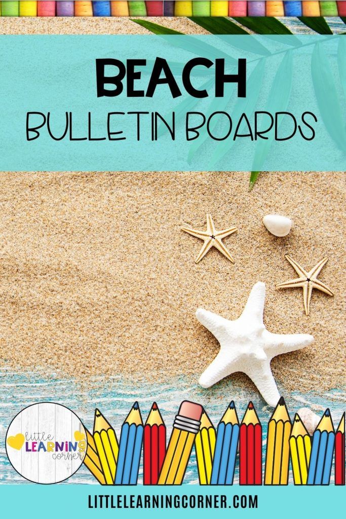 beach bulletin board with starfish, pencils and shells on the sand in front of them