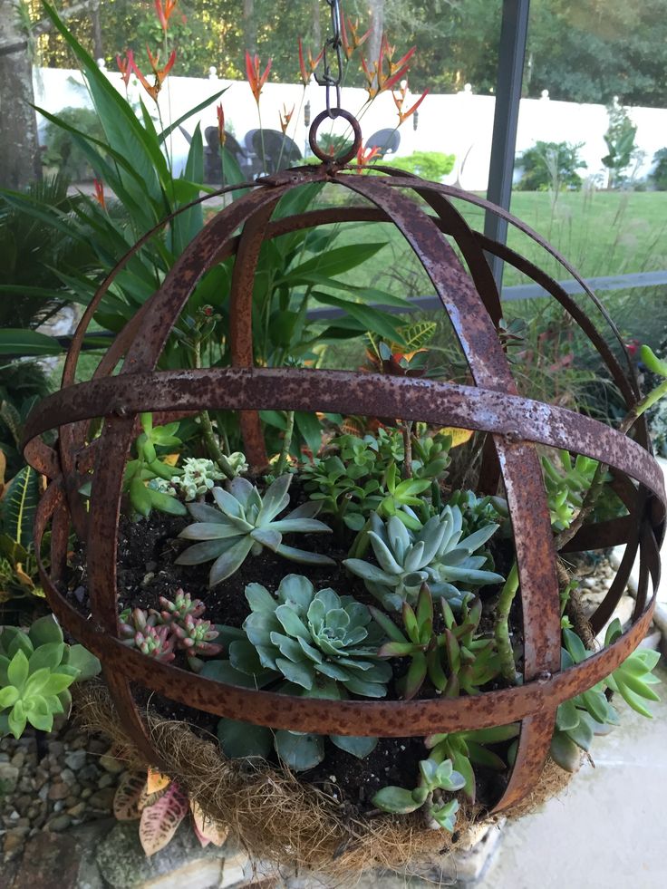 a metal ball filled with succulents on top of a stone floor next to plants