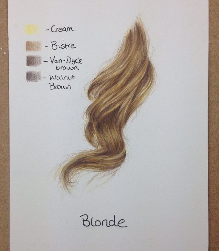 the hair color chart for blonde is shown in this drawing, it shows different shades of blonde