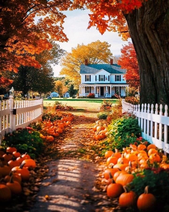 a white house surrounded by trees and pumpkins