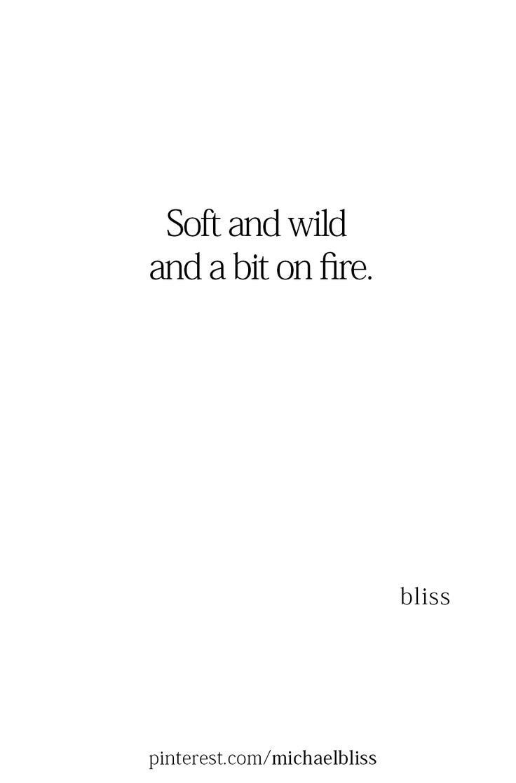 a white book cover with the words soft and wild and a bit on fire