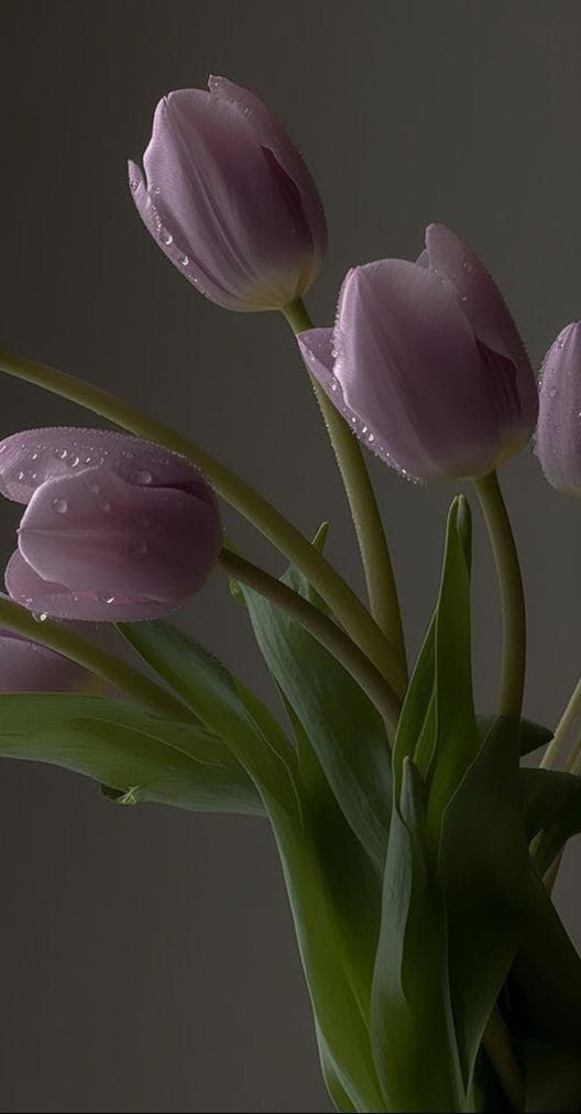 purple tulips in a vase with water droplets