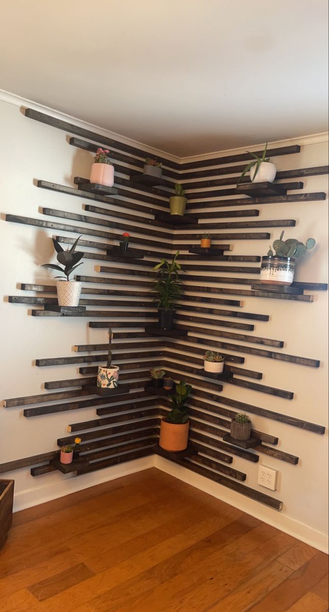 a room that has some shelves on the wall with plants in them and potted plants