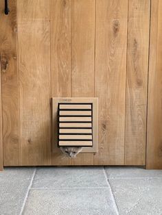 a cat peeking out from behind a wooden door