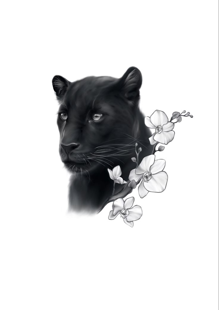 a black panther with flowers in its mouth and eyes closed, looking at the camera