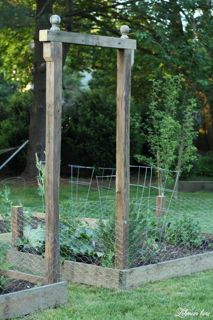 an outdoor garden with raised wooden planters and trelliss in the center, surrounded by green grass