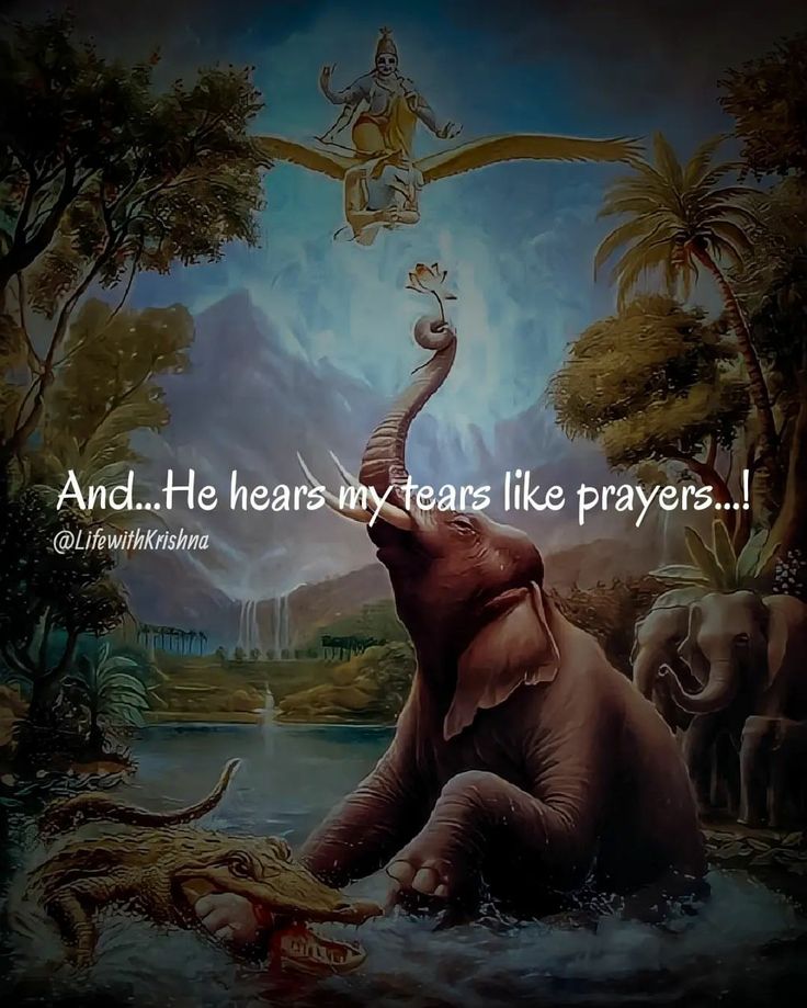 an elephant sitting in the water with another elephant standing on it's back, and he hears tears like prayer