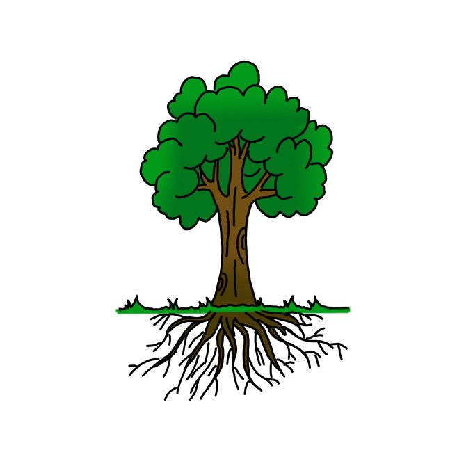 a tree with its roots exposed and the ground below it is shown in green, on a white background