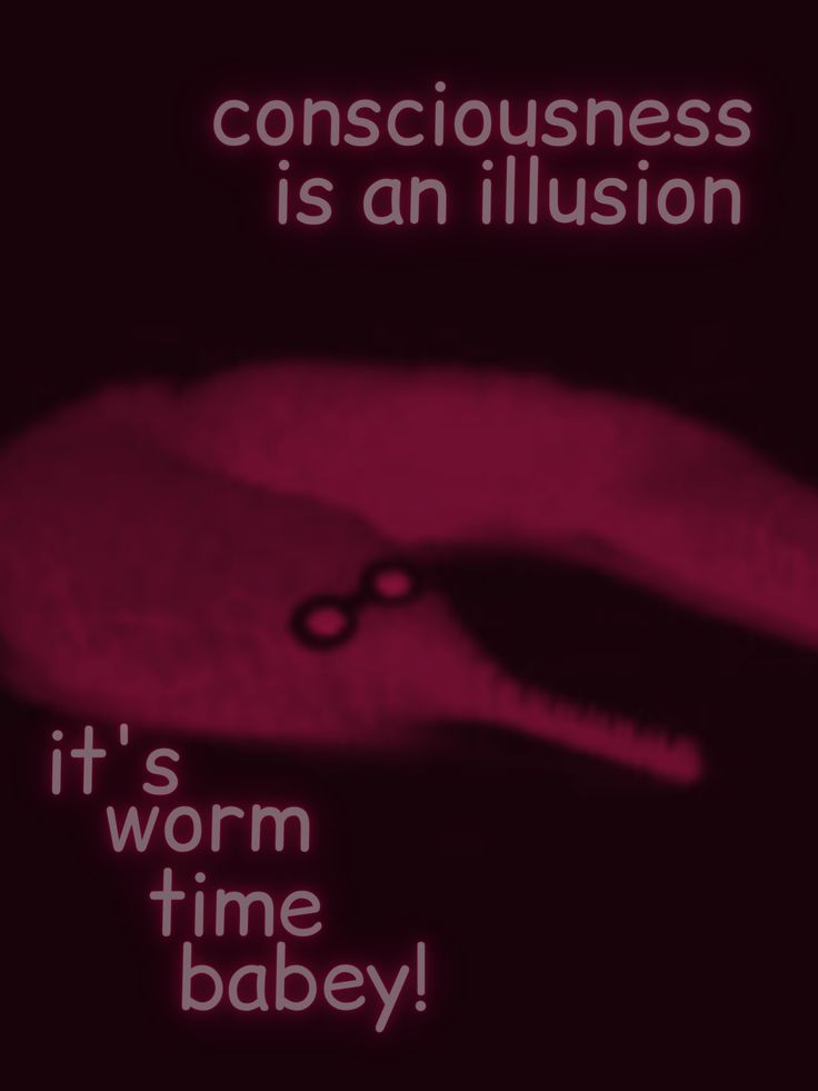 a pink poster with the words consciousness is an illusion it's worm time baby