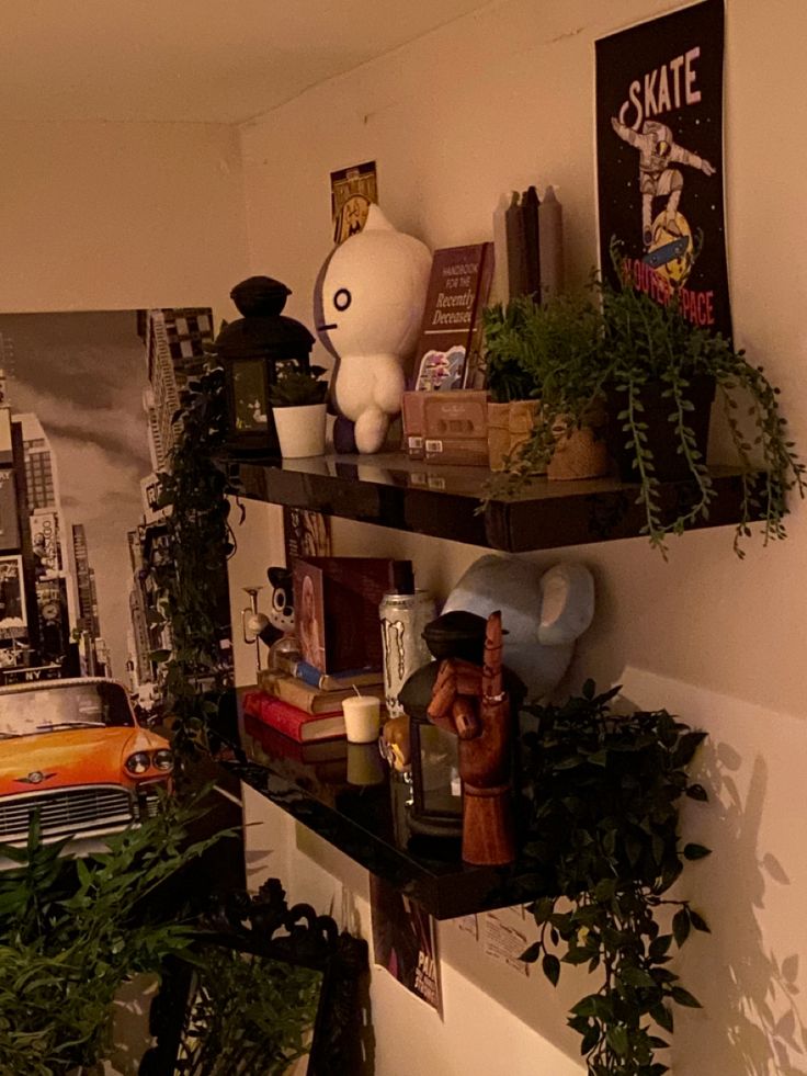 the shelves are filled with plants and other things to collect in their home or office