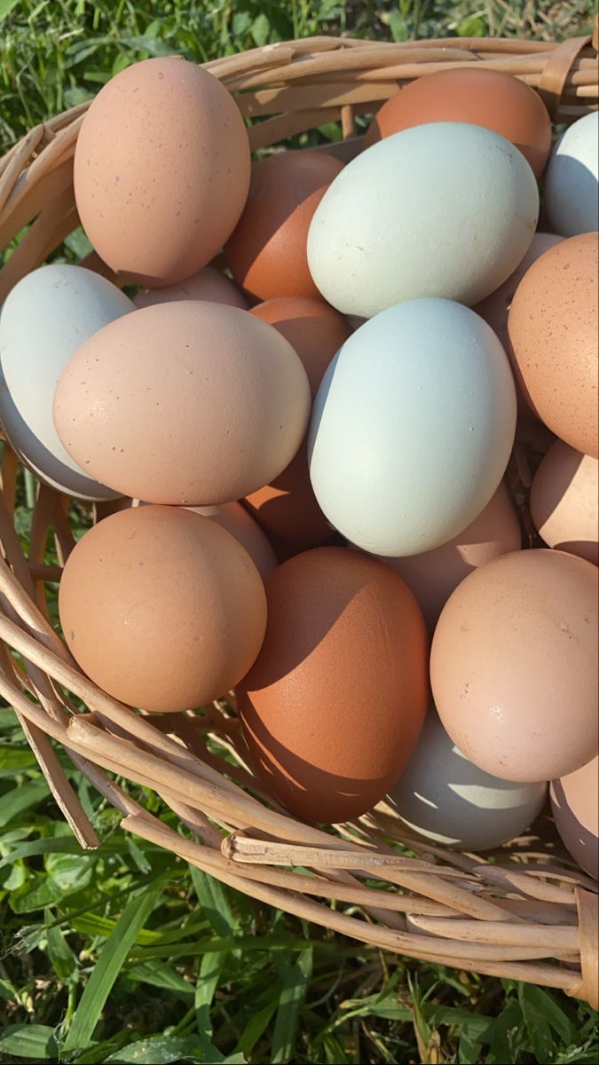 a basket filled with brown and white eggs on top of lush green grass covered ground