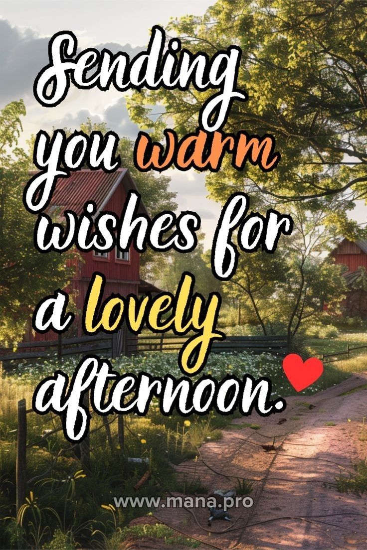 the words sending you warm wishes for a lovely afternoon