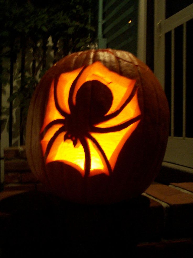 a pumpkin carved to look like a spider