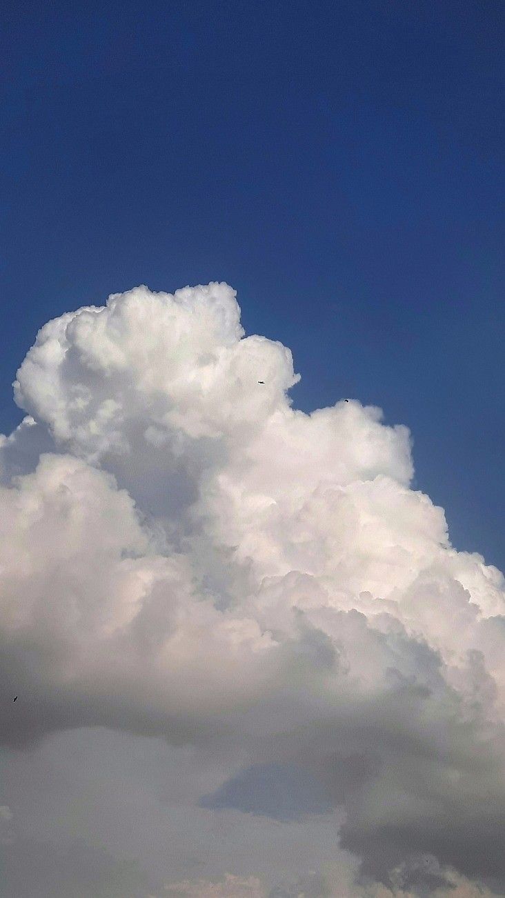 the airplane is flying high in the blue sky with white fluffy clouds behind it,