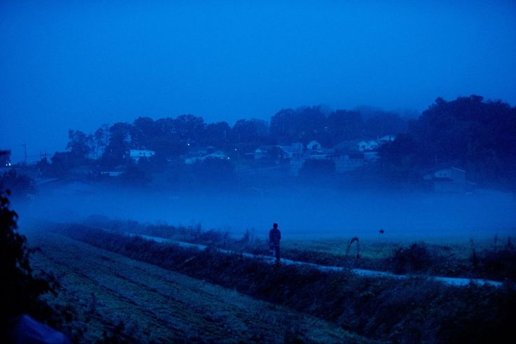 a person standing in the middle of a field on a foggy night