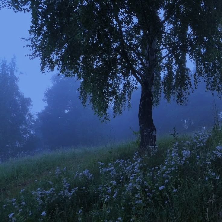 a lone tree in the middle of a field with wildflowers on it at night