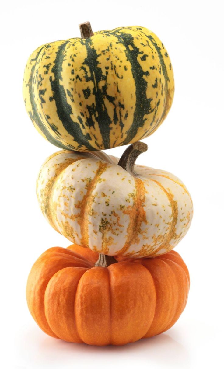 three pumpkins stacked on top of each other in the shape of a stack,