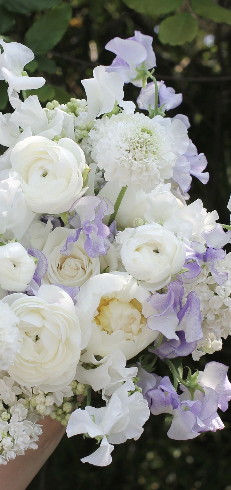 a bouquet of white and purple flowers in someone's hand with greenery behind it