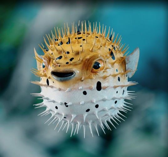 a puffer fish with spikes on it's head