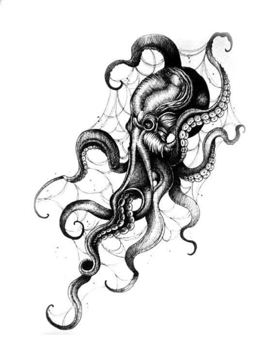 an ink drawing of an octopus