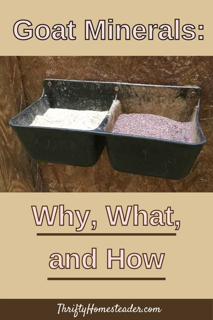 two metal pans filled with white and pink gravel sitting on top of a wall