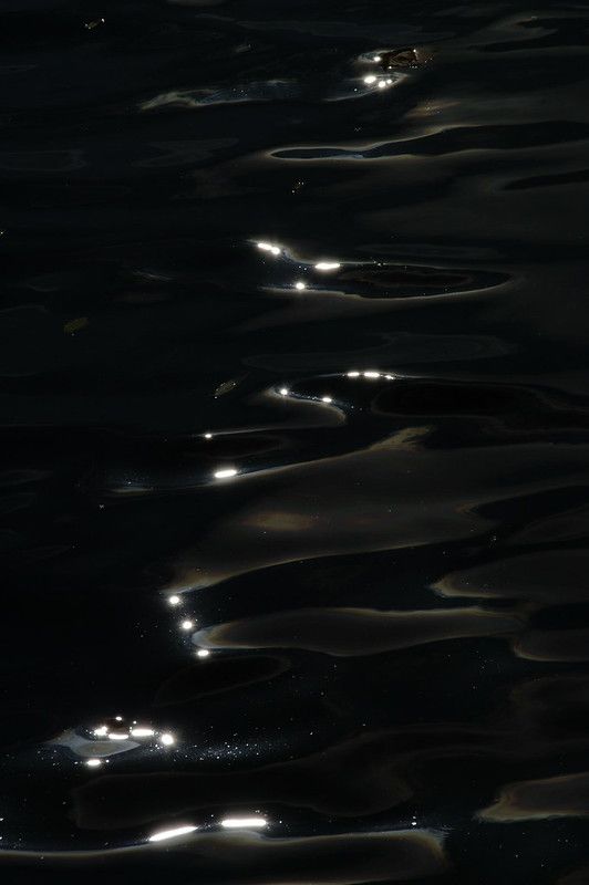 the water is very dark and there are lights on it's surface at night