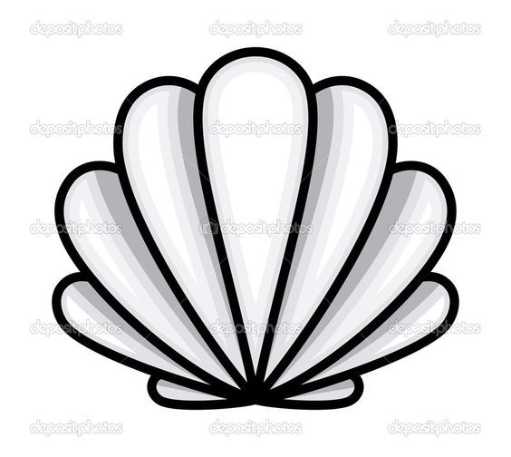 a white shell with black lines on a gray background - stock photo and royalty illustrations